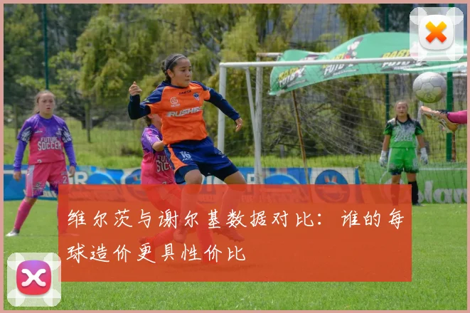 维尔茨与谢尔基数据对比：谁的每球造价更具性价比