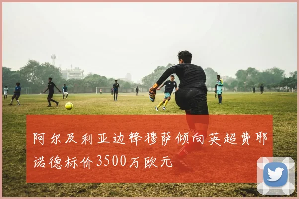 阿尔及利亚边锋穆萨倾向英超费耶诺德标价3500万欧元