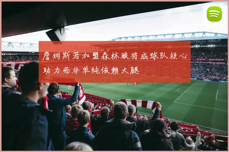 詹姆斯若加盟森林狼将成球队核心助力而非单纯依赖大腿